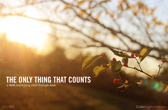 002/365 The only thing that counts
