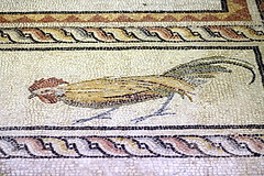 Gaziantep. Museu dels Mosaics de Zeugma. Mosaic d'Antíope i el Sàtir (s. III dC.) Detall dels ocells de l'orla.