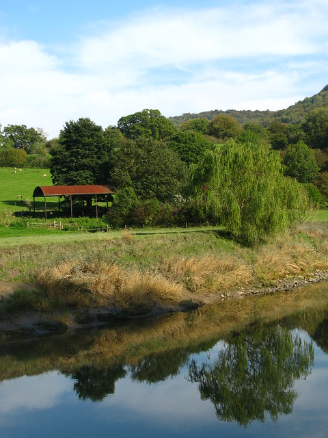 River Wye Reflection