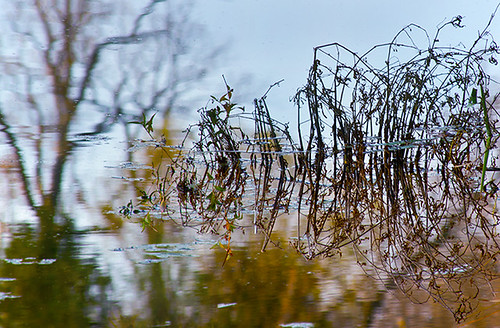 materials and processes reflection | by Giuseppina Zanti Photography