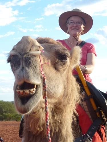 sunset me tour ride alice australia dromedary camel uluru ayersrock camelride