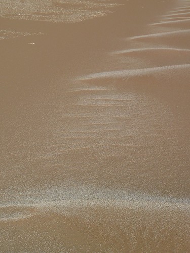 Detailstudie Sanddüne | by Bettina v. Greyerz