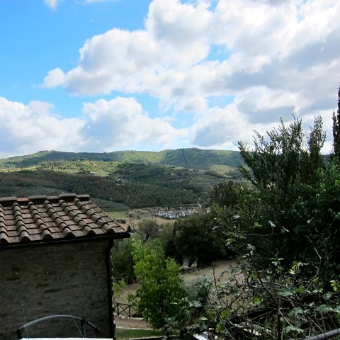 Countryside in Arezzo