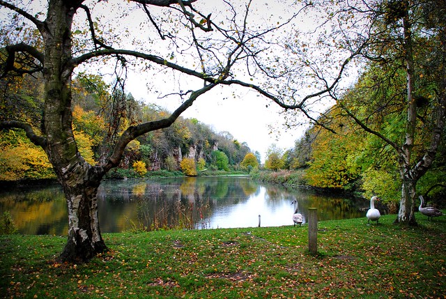 Autumn at Creswell Crags
