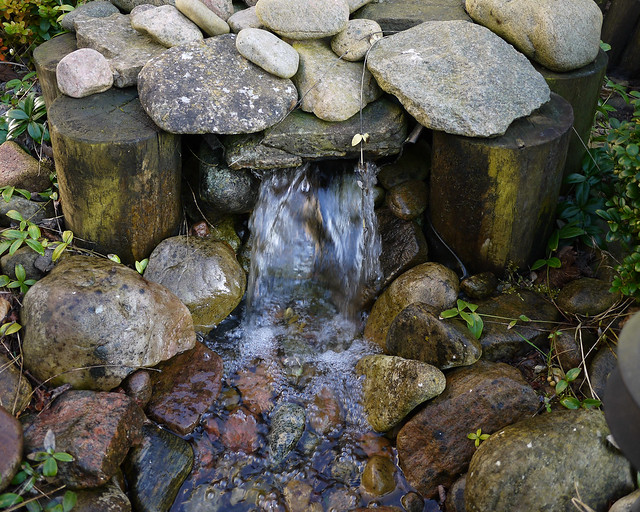 I have started up our little cascade, creek and pond...
