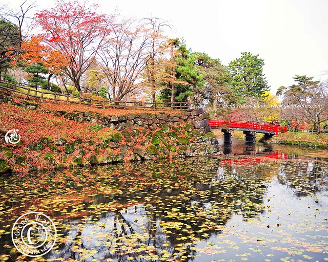 Hirosaki Castle Park Autumn 2011.   4,000 visits to this photo. Thank you.