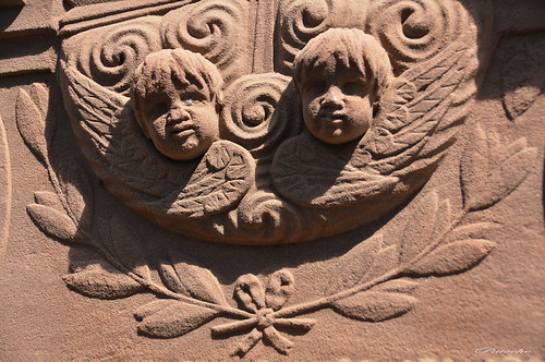 Gueules d'anges | by patoche21