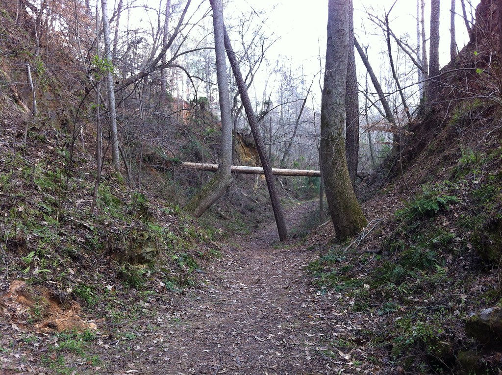 Iron Hill Trail, near Campfire Comradery