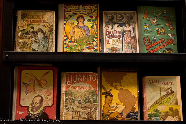 Book Covers at a Valencia Antiques Store