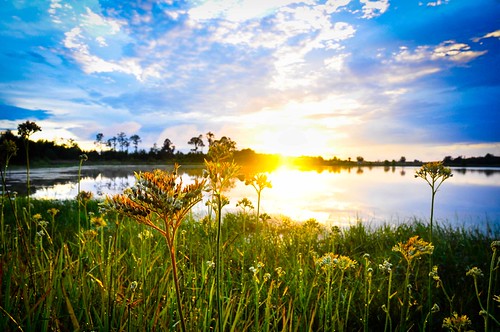 _DSC1846 by Joe Wiegman, Another sunset at Flaming Arrow Scout Reservation, Lake Wales, Florida. For this one I use two gradu