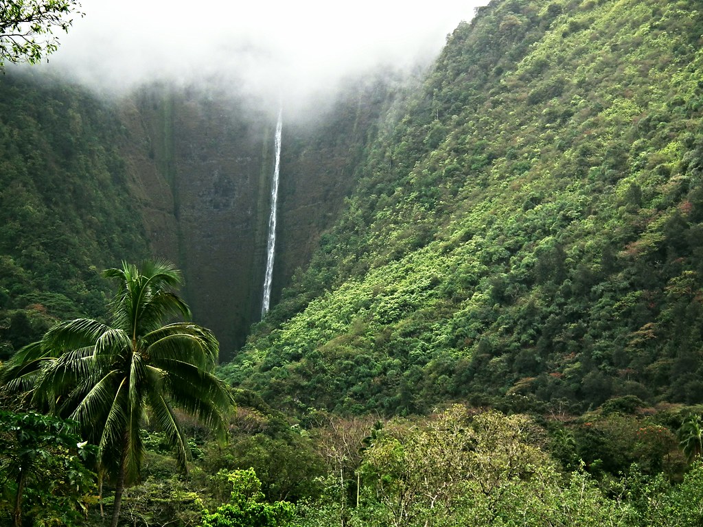 Hawaii Big Island Kona Hilo 196