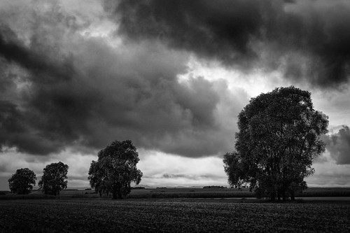 bw tree monochrome clouds germany deutschland wolken geotag bäume treescape ries schwaben 2015 em5 1235mm