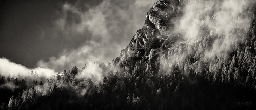 bw salzburg licht österreich nebel urlaub wolken berge sw wald fototour anlässe at sanktmartinbeilofer