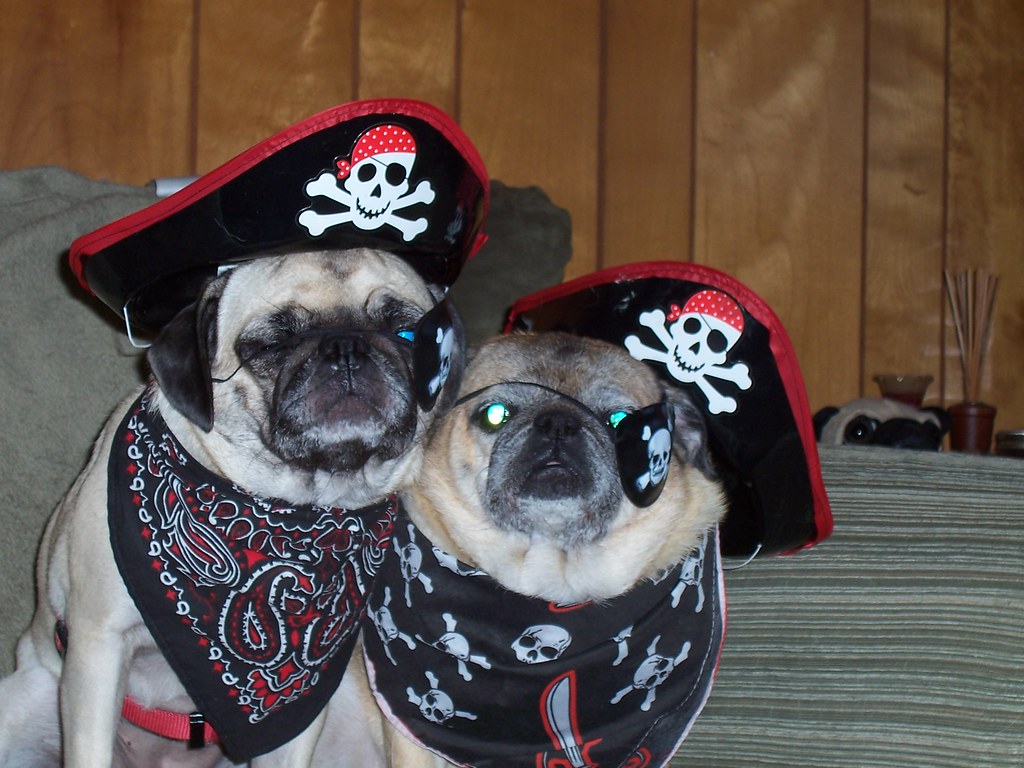 Pirates!!