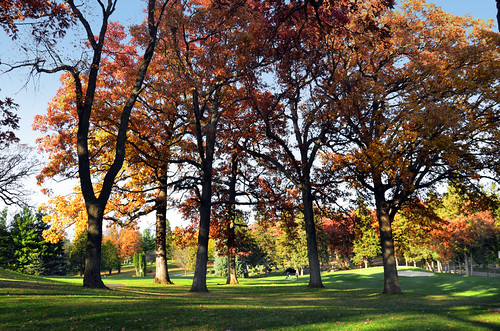 Fall color Madison, WI, October, 2011 | by Richard Hurd