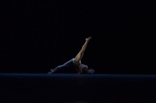 maledancer | by eduardoperme