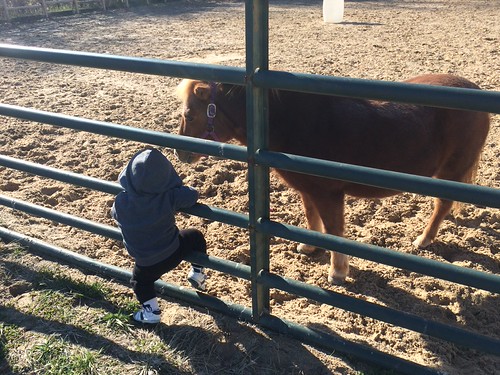Future ranch hands. | by Goodwin Brothers