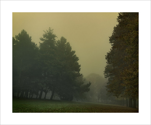 The Grove | by Nigel Morton
