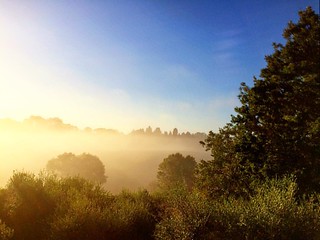 Morning through the mist in Formello :) #upsticksandgo #morning #sunrise #formello #travelingtheworld #travel #anewday #mist #landscape #italia #michfrost