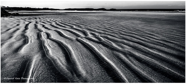 Sand veins on the beach