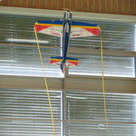 Fliegen in Rosshäusern Indoor