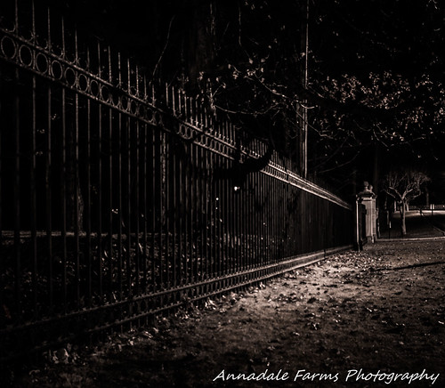 DSC_0018-Edit | by Chris==1980
