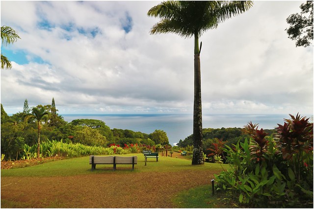 Garden of Eden Arboretum & Botanical Garden, Maui