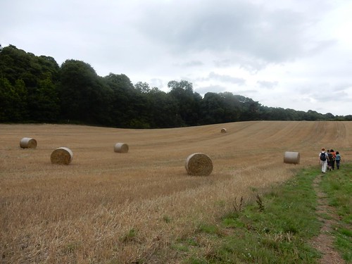Haybales Nutfield to Oxted