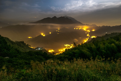 _MG_5305 by linchingyao,