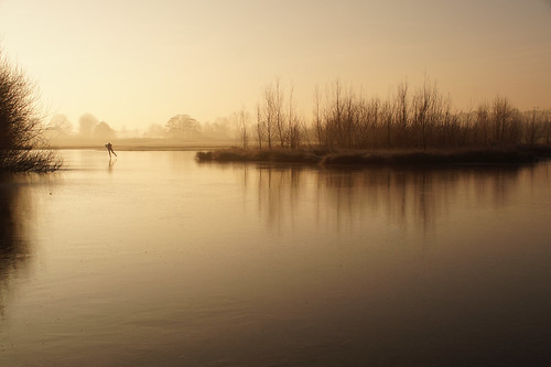 serene outdoor ice sky mist water frozen island skater sunrise winter trees amersfoort leusden estate stoutenburg reflection nature morning netherlands sigma18300mm slta58 deschammer schammer reserve art iceskater henkhuitema