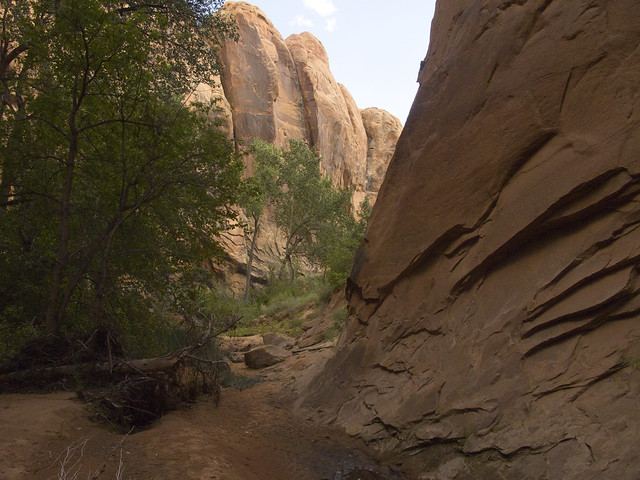 DRAGONFLY CANYON