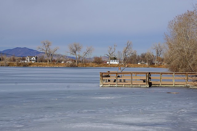 Coot Lake Frozen