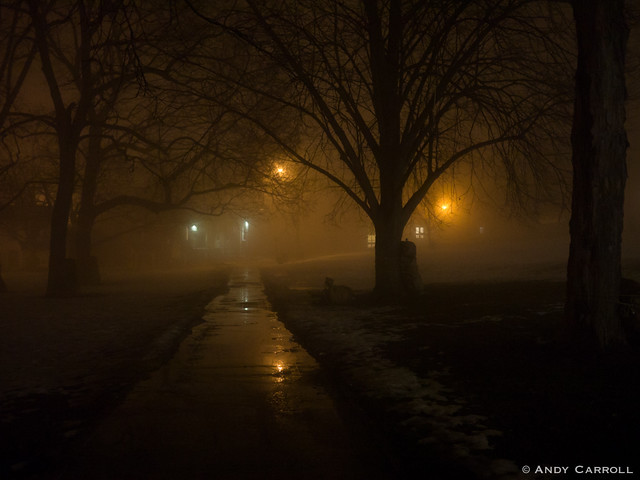 Victoria Park, fog