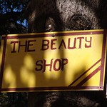 The beauty shop