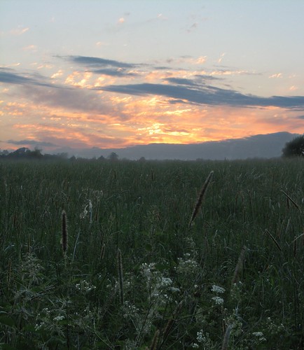 Midsummer by Entons, This picture is manipulted to look like a dreamworld. It was from the beginning tow pictures, one of