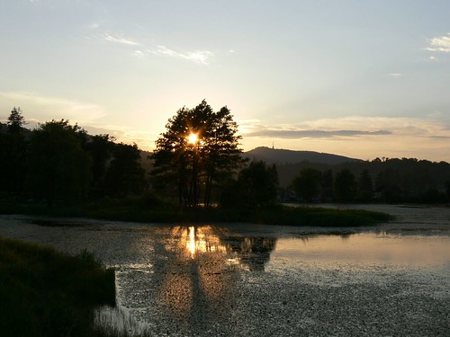 sunset lake tree lago tramonto lac romania albero brasov roumanie apus