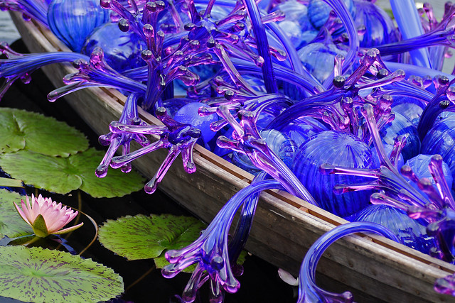 boat of blue lilies