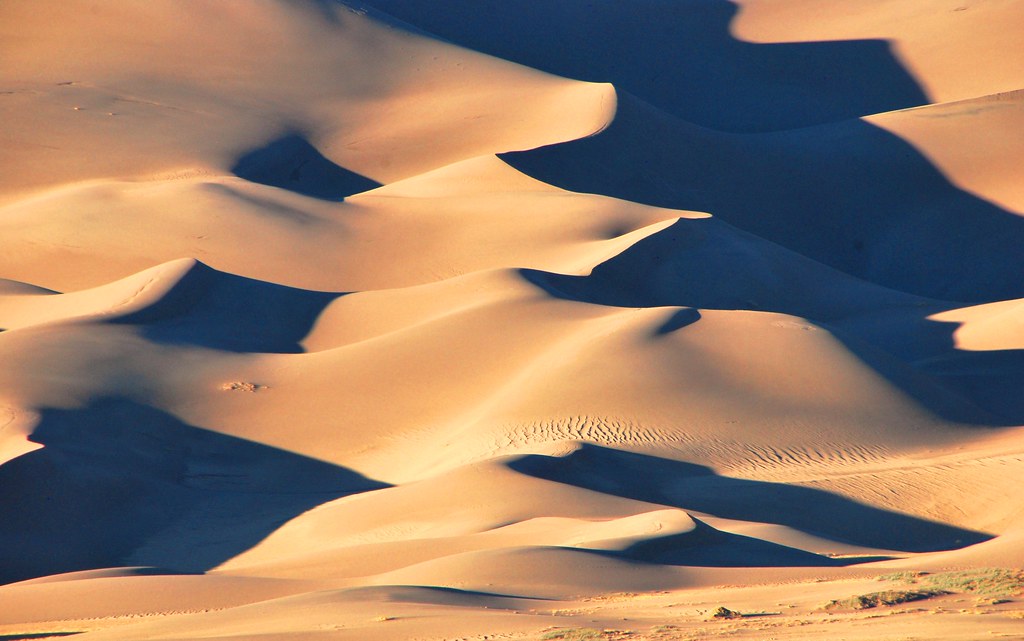 Shadow Patterns, Gold Dunes. arid, dawn, desert