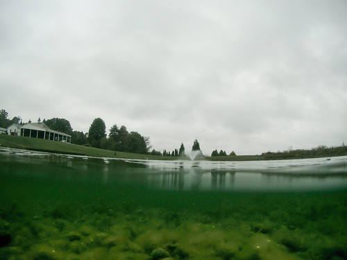 WWPW2015 | by bill_rodehaver