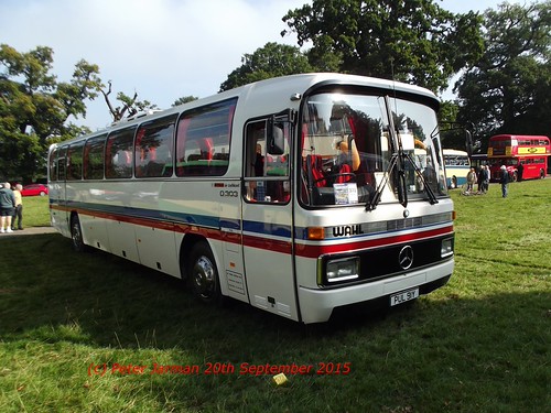 PUL 91Y | by Peter Jarman 43119