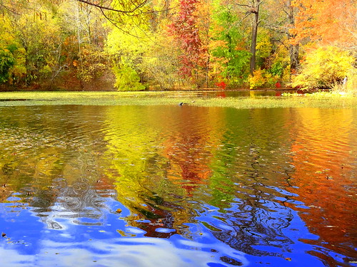 newyork brooklyn dmitriyfomenko image sky clouds reflection prospectpark autumn fall lake foliage