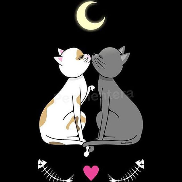 Gatos enamorados kawaii. Dibujo vectorial para mí exposici… | Flickr