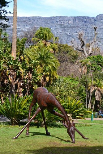 Cape Town