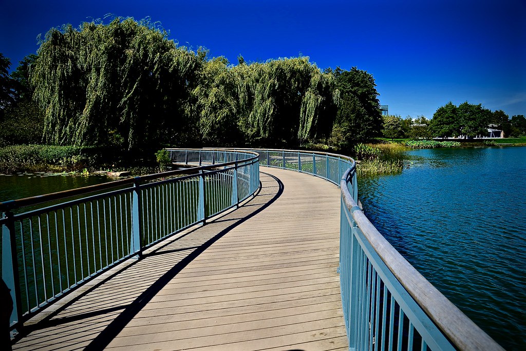 Serpentine Bridge - Chicago Botanic Garden - Glencoe IL