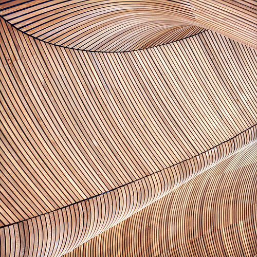 wood uk abstract wales wooden cymru cardiff ceiling glamorgan slats nationalassembly cardiffbay senedd architecturalabstract canon5dmarkii canon5dii