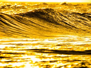 Waves of Gold