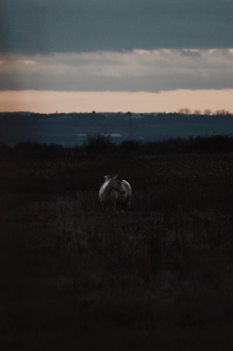 Winter's evening. | by Whiteglare