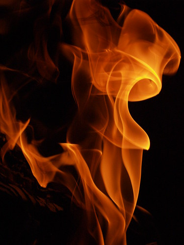 Impassioned | by abby.raeder