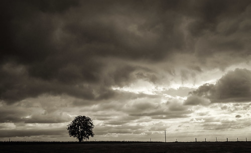 Untitled | by ingomann