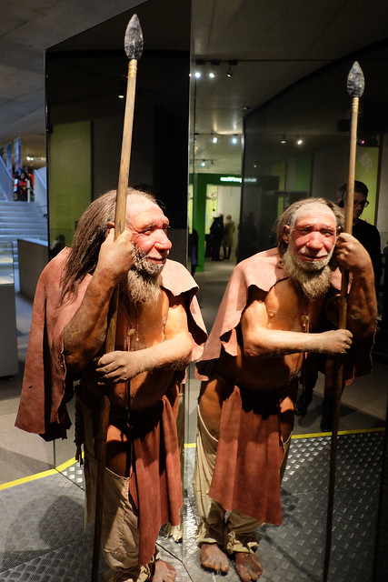 Neanderthal-Museum